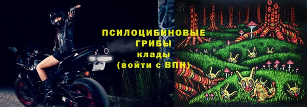 МДПВ Алексеевка