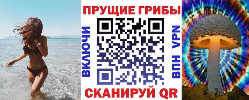 закладка  Елец  Галлюциногенные грибы GOLDEN TEACHER 