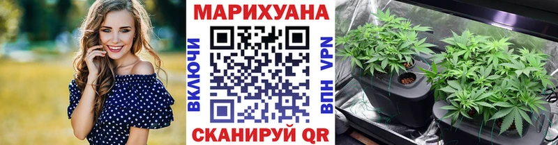 МЕГА как зайти  Елец  Конопля семена 